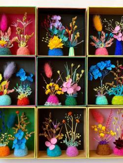 328686075_208021421780592_2969065242776066466_n