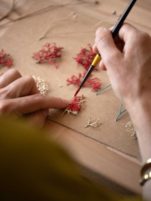 BASSE-DEF-Charlotte-Grignard-Marion-Saupin-10