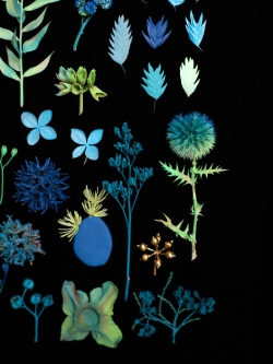 Charlotte-Grignard-Marion-Saupin-47