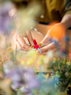 1_BASSE-DEF-Charlotte-Grignard-Marion-Saupin-24