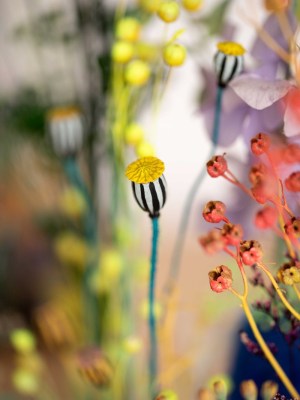 BASSE-DEF-Charlotte-Grignard-Marion-Saupin-28