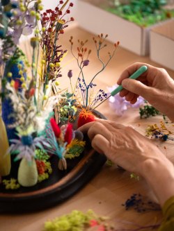 BASSE-DEF-Charlotte-Grignard-Marion-Saupin-29