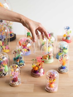 BASSE-DEF-Charlotte-Grignard-Marion-Saupin-38